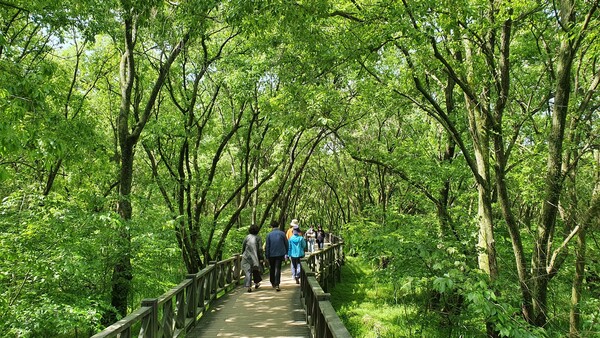 광주호 호수생태원 (사진=광주광역시)