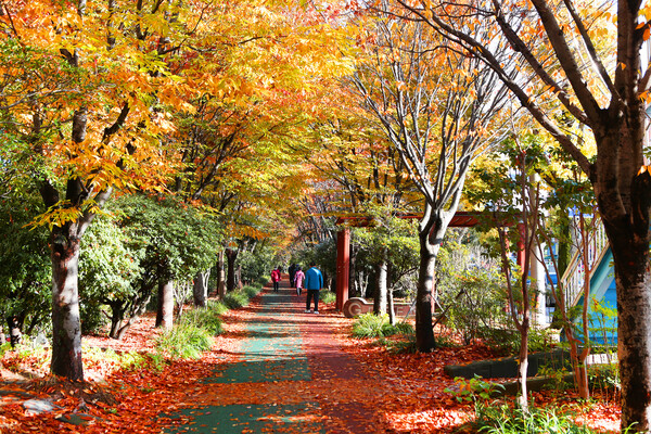 푸른길공원 (사진=광주광역시)