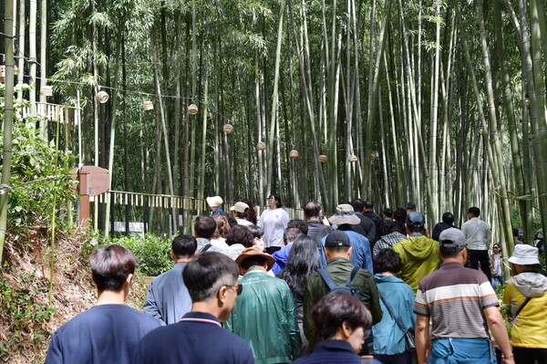 담양군 죽녹원을 찾은 사람들로 북적인다.(사진=담양군)