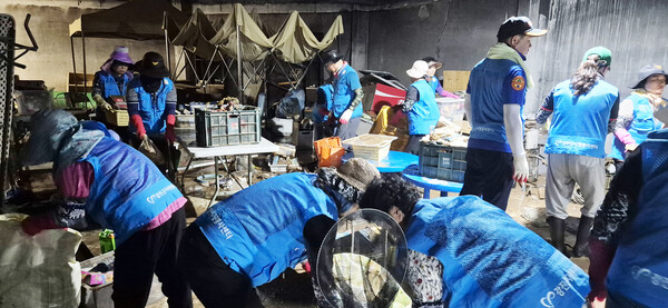 강진군 자원봉사자들이 무안군을 찾아 수해복구에 구슬땀을 흘리고 있다. (사진=강진군) 