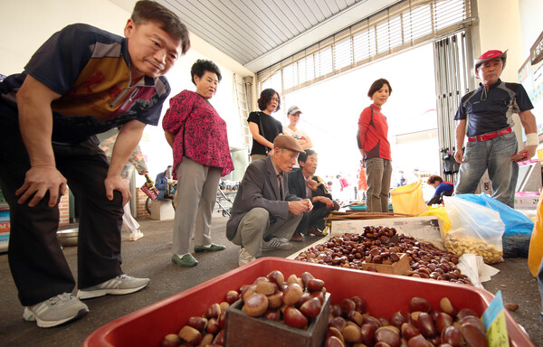  강진읍 시장에서 관광객들이 물건을 고르고 있다. (사진=강진군)