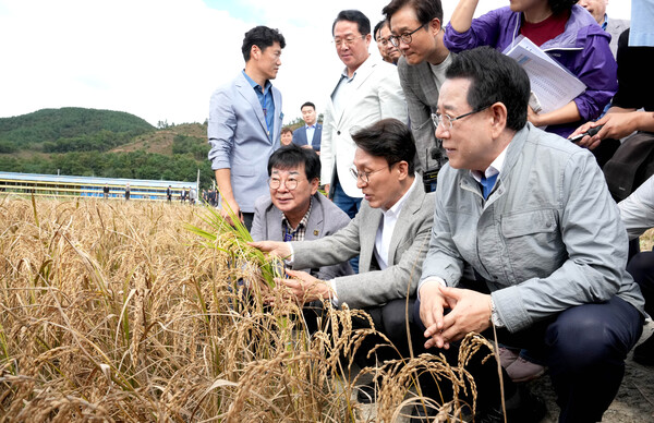 김민석 국무총리와 김영록 전라남도지사가 지난 7일 벼 깨씨무늬병 피해지역 현장인 장흥군 안양면 해창리 일원을 방문해 피해 현황을 살펴보고 있다.(사진=전라남도)