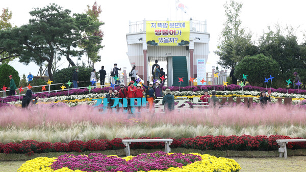 제10회 강진만 춤추는 갈대축제가 지난 25일 강진만 생태공원에서 막을 올린 가운데 관광객들이 국화정원에서 사진을 찍으며 가을 정취를 만끽하고 있다. (사진=강진군)