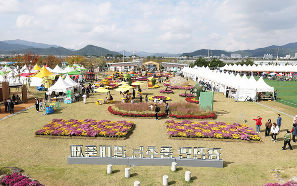 관광객들로 붐비는 제10회 강진만 춤추는 갈대축제장 전경 (사진=강진군)
