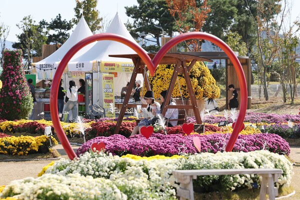 제10회 강진만 춤추는 갈대축제가 한창인 가운데 강진만 생태공원에 마련된 국화꽃정원에서 관광객들이 가을을 맘껏 즐기고 있다. (사진=강진군)