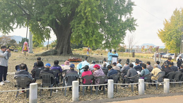 강진 병영면, 제5회 은행나무 당산제 개최 (사진=강진군)