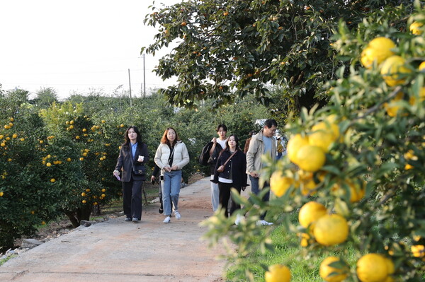 제5회 고흥유자축제 성대한 마무리 (사진=고흥군)