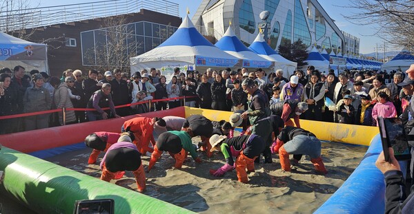 ‘제21회 벌교꼬막축제’에서 관광객들이 ‘황금꼬막을 잡아라’를 하고 있다. (사진=보성군)