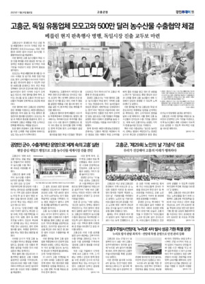 11면 미리보기 이미지